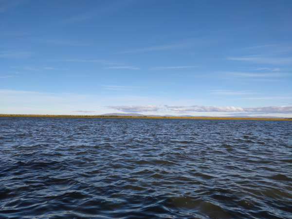 Ученые ВНИРО изучают состояние рыбных запасов в крупнейшей реке Восточной Сибири