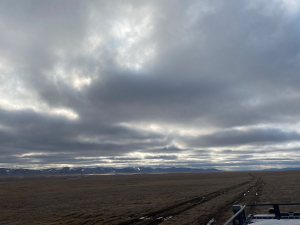 Исследования сибирского осетра реки Лена