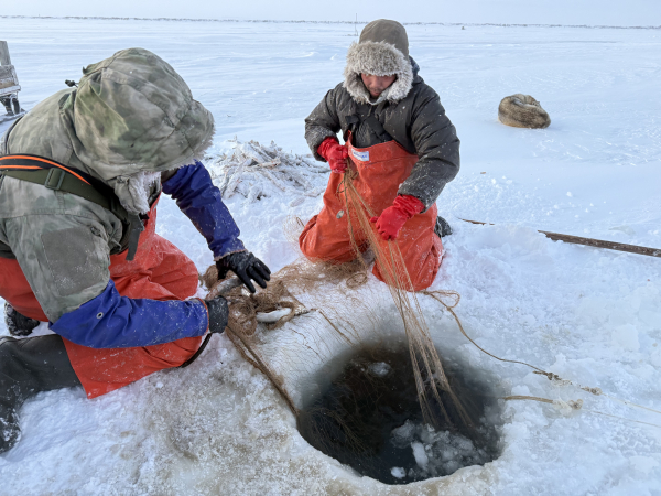 Научная экспедиция на реке Колыма